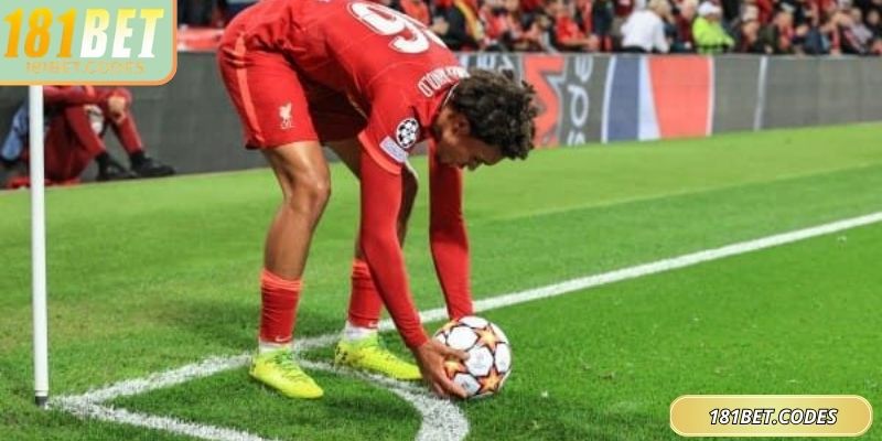 Dữ liệu thống kê giúp dự đoán chính xác, khoa học hơn